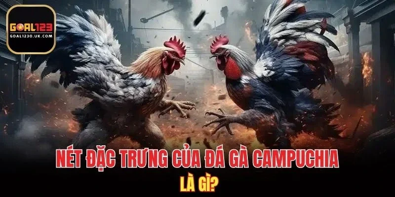 Nét đặc trưng của đá gà Campuchia